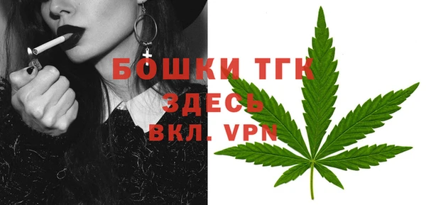 шишки Медногорск