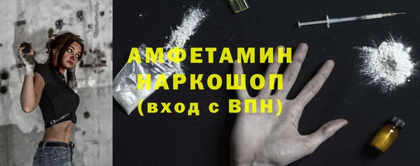 шишки Медногорск