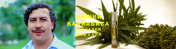 бутират Мегион