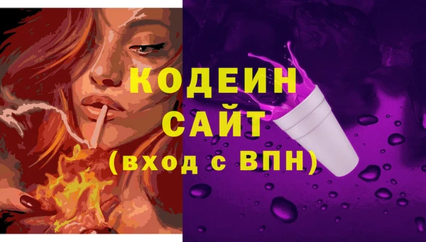 гашик Верея