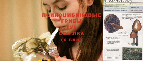 бутират Мегион