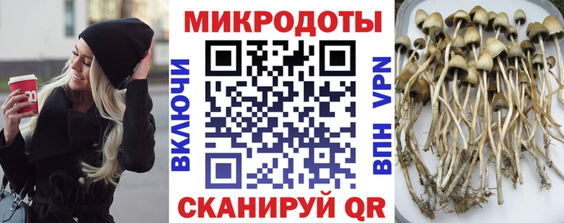 Галлюциногенные грибы Cubensis  blacksprut сайт  Ершов 