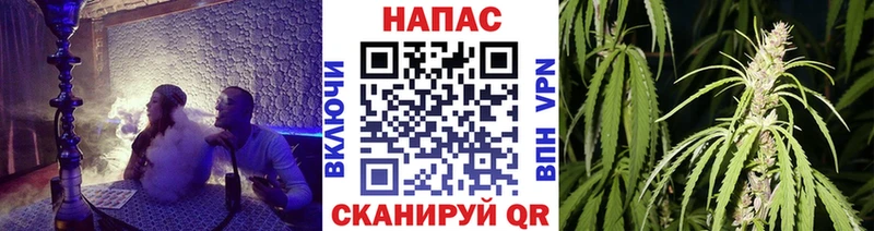 где найти наркотики  Ершов  Шишки марихуана конопля 